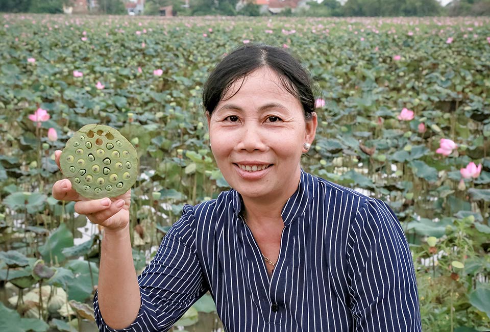 Women holding a lotus seed. 