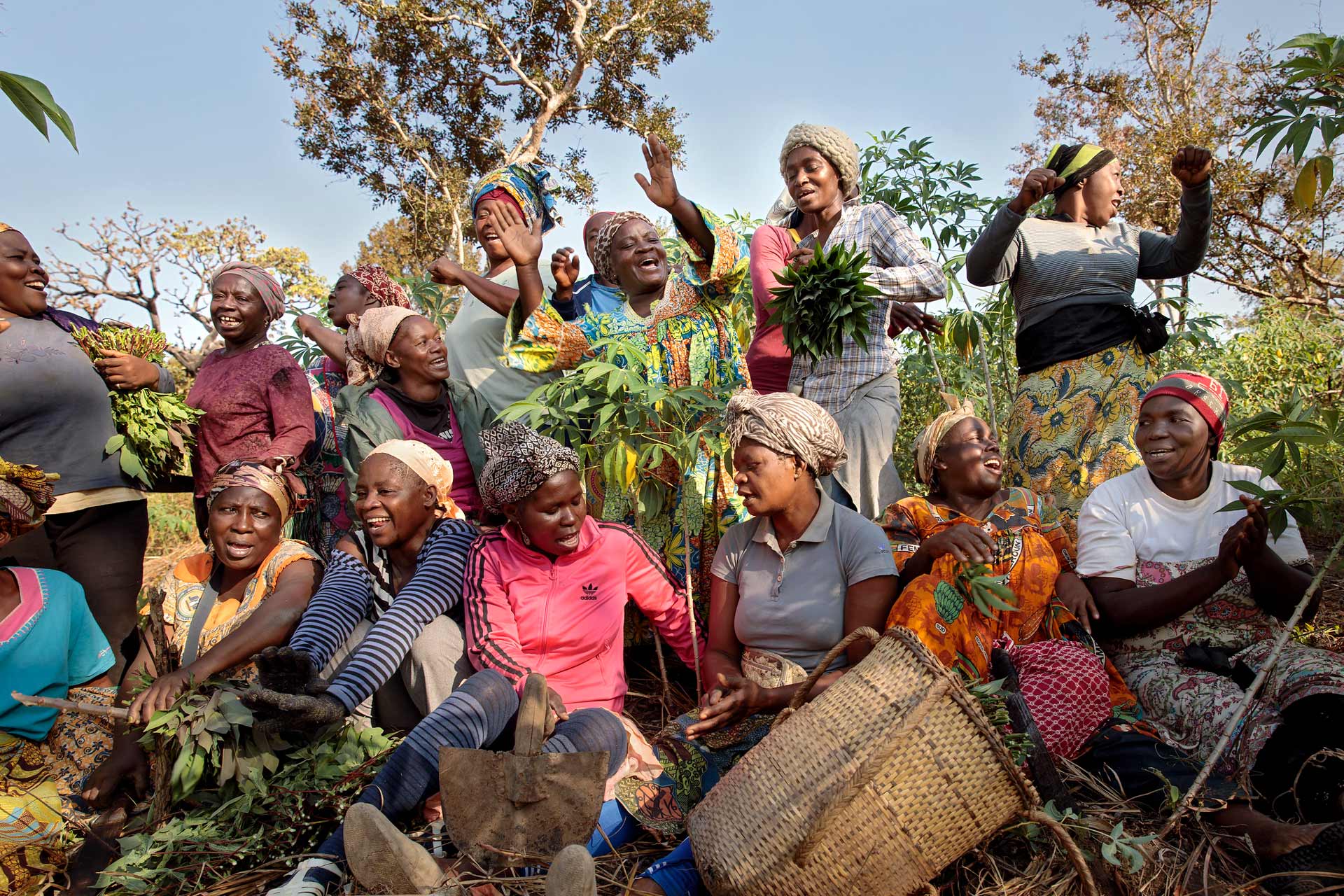 A women’s cooperative formed in the township of Yoko, Cameroon. It’s called SOCCOMAD and has 42 members, including four men, who joined as allies.