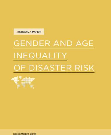 Gender and age inequality of risks