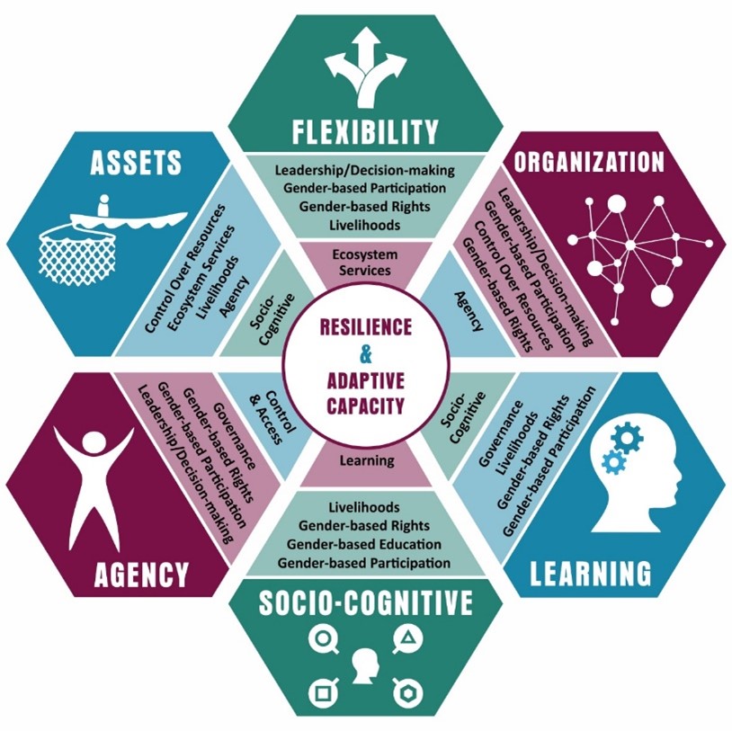 Resilience framework diagram