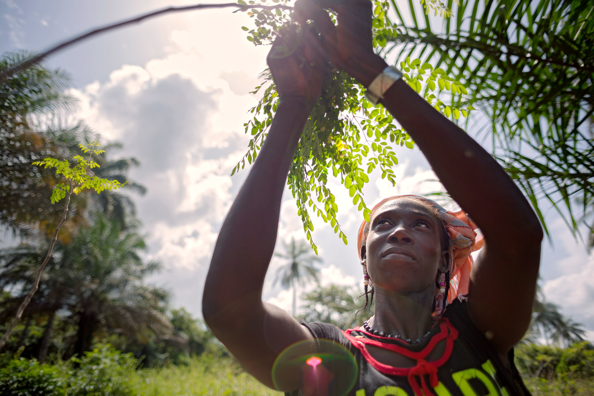 Women collecting a coconut