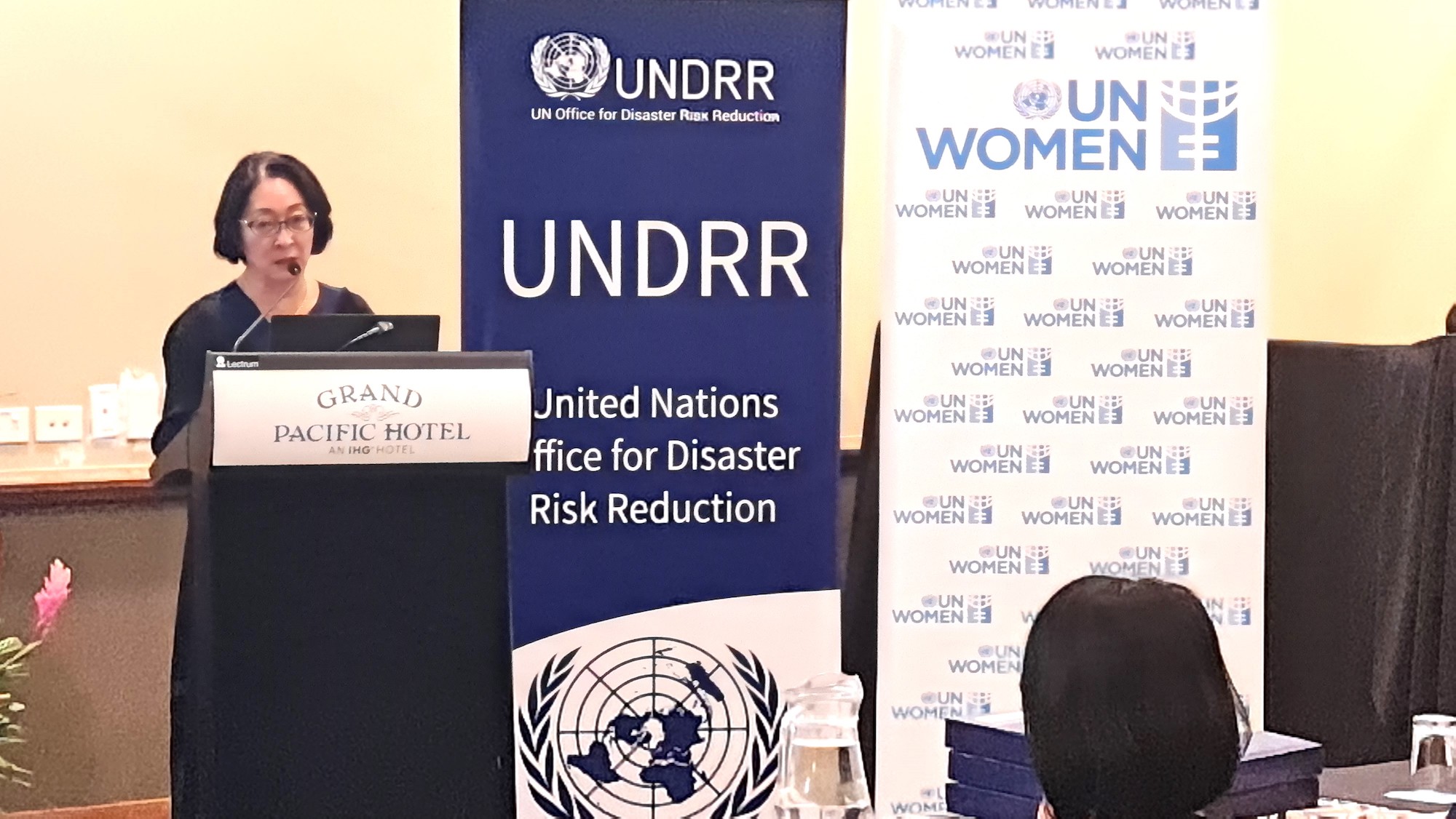 Mami Mizutori speaking next to two banners: UNDRR's and UN Women's