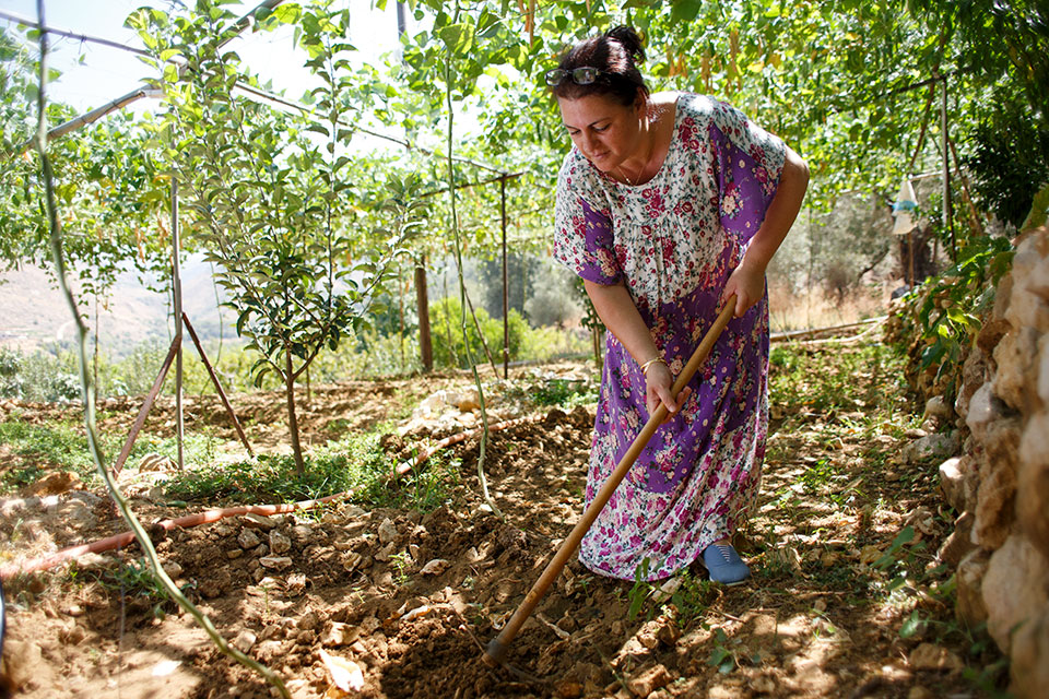 Rima Chaaban Massoud tends to crops on her family’s 80-year-old farm in Lebanon