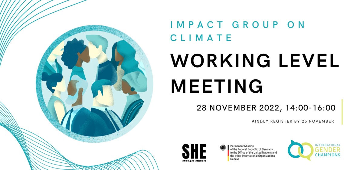 Flyer for the working level meeting on Impact Group for Climate Change