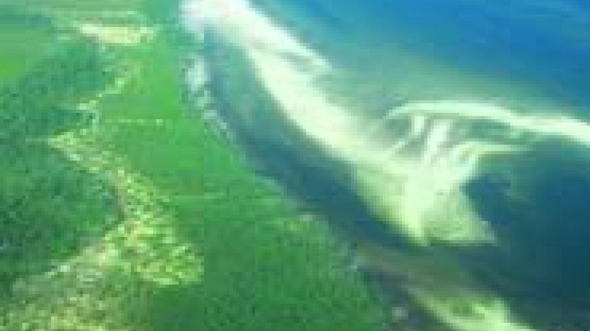 Photo of coastline