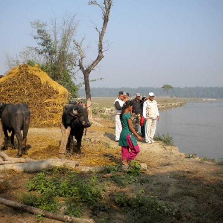 Group of people standing on the edge of the river